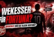 ERIK WEKESSER IM FORTUNA-CHECK: