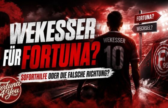 ERIK WEKESSER IM FORTUNA-CHECK: